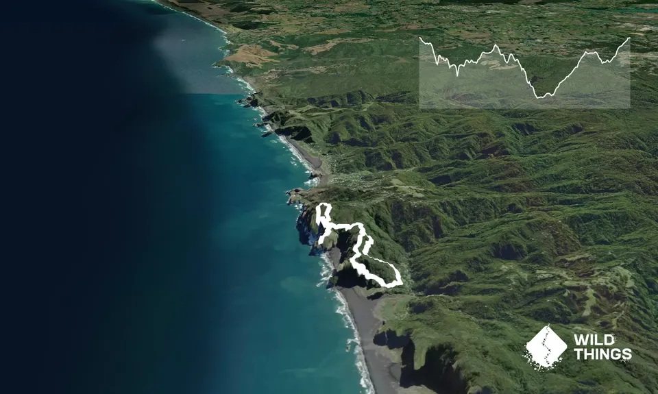 Mercer Bay Magic, Auckland