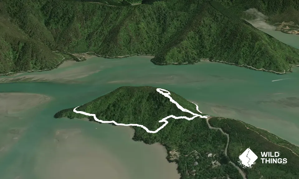 Cullen Point , Marlborough