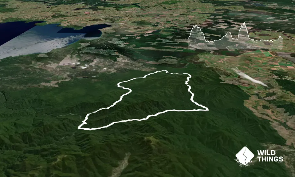 Kaimanawa Killer, Waikato