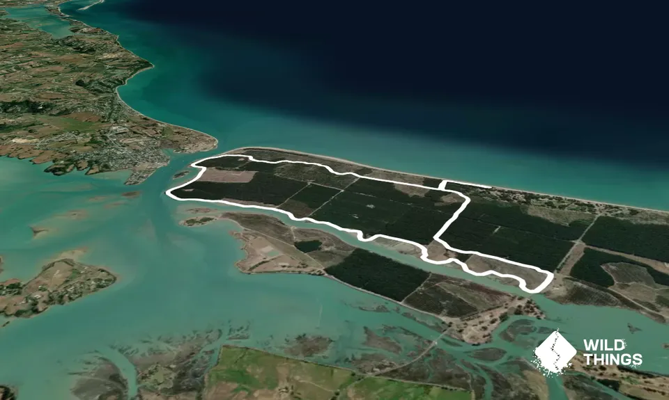 Rabbit Island, Tasman