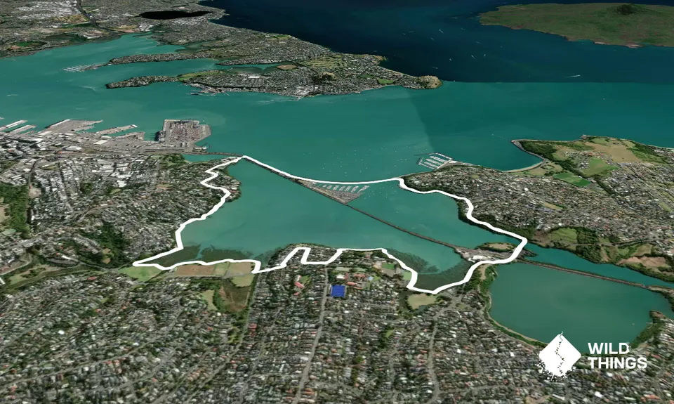 Hobson Bay Loopity, Auckland