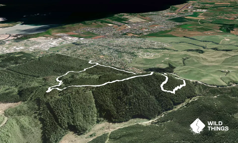 As You Do Loop, Bay of Plenty