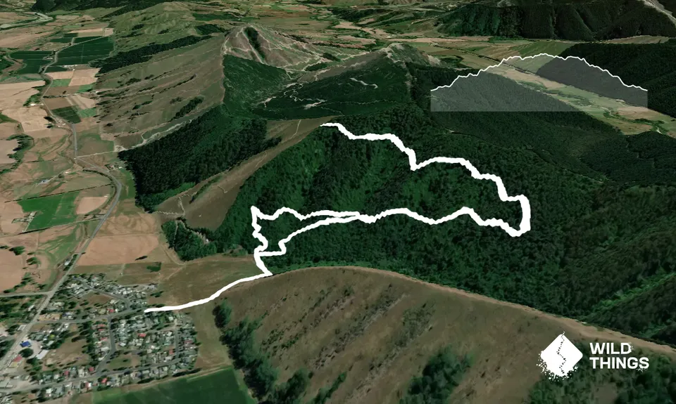 Tapawera Taster, Tasman