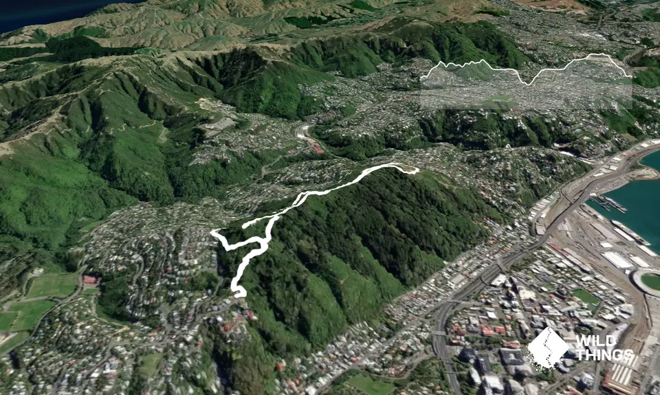 Te Ahumairangi Ridgeline, Wellington