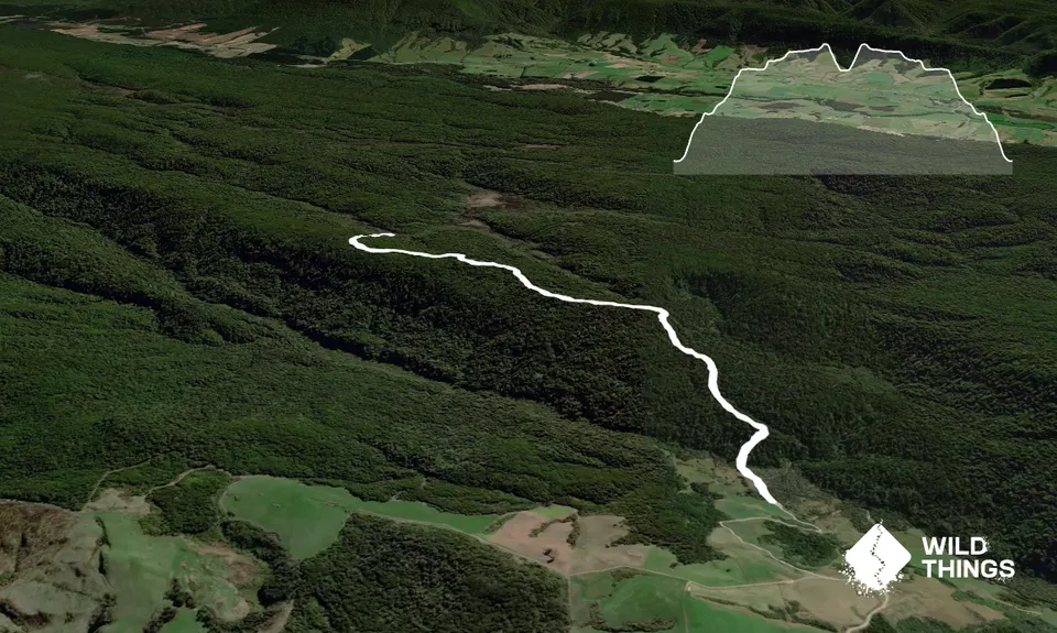 The Tautuku Tiptoe, Otago