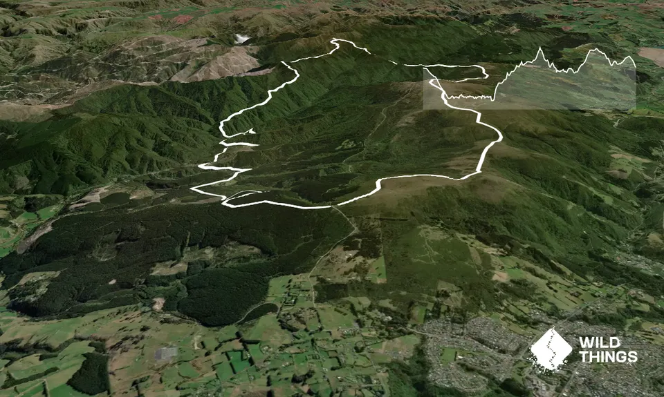 The Bullring Basher, Otago