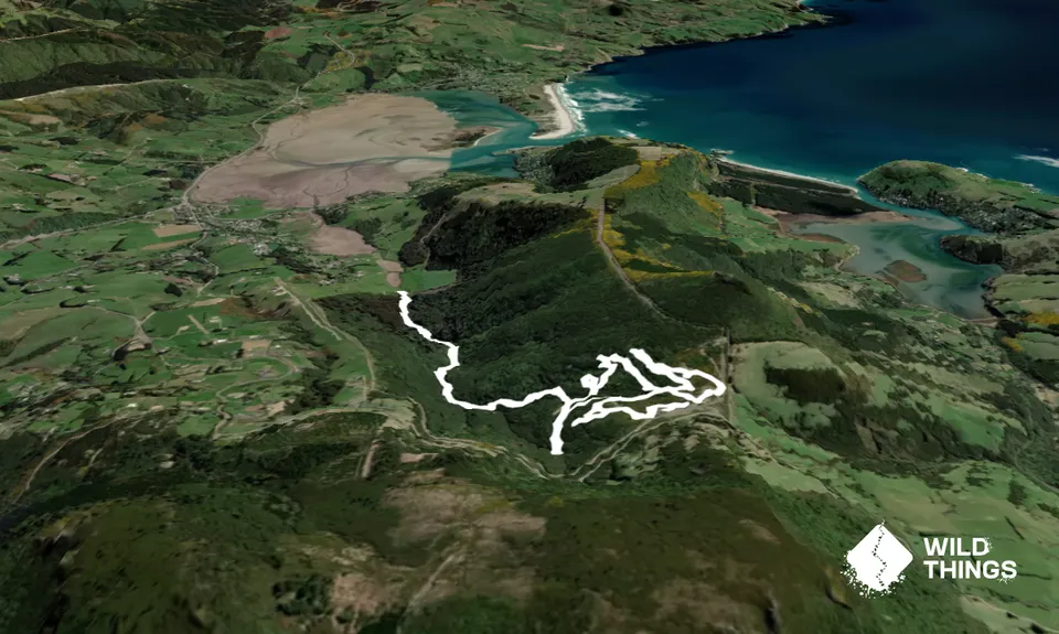 Orokonui Heaven, Otago
