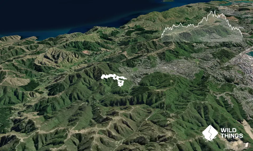 Mid Makara Magic, Wellington