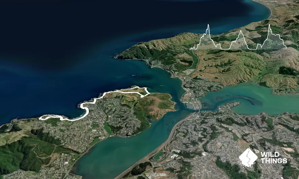 Whitireia and Titahi Bay Cliffs, Wellington