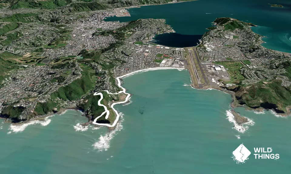 Te Raekaihau Point, Wellington