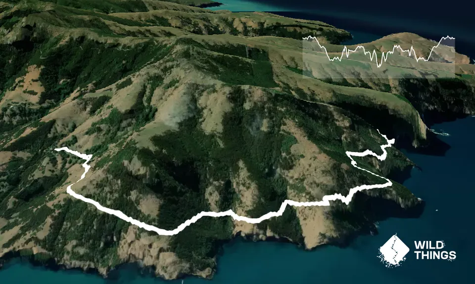 Nikau Palm Gully, Canterbury