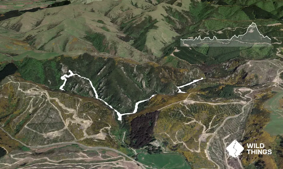 Trotters Trot, Otago