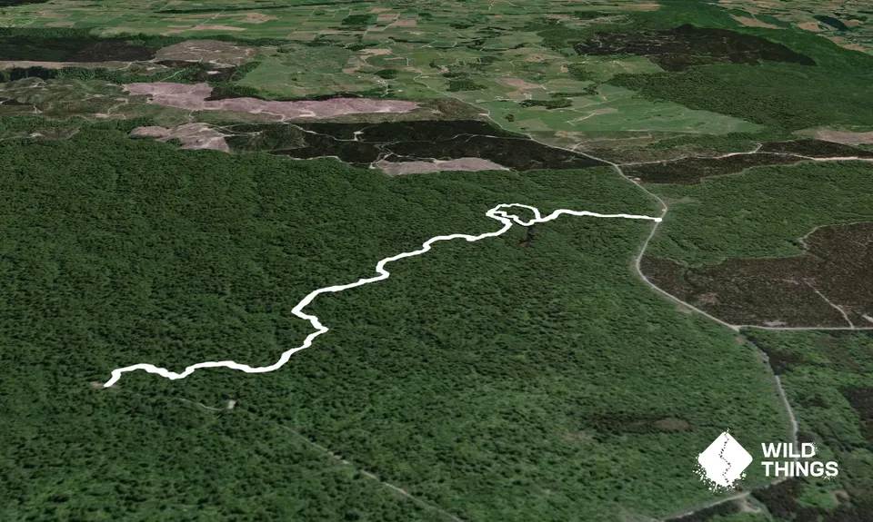 Mokoihaha Track Plus, Bay of Plenty