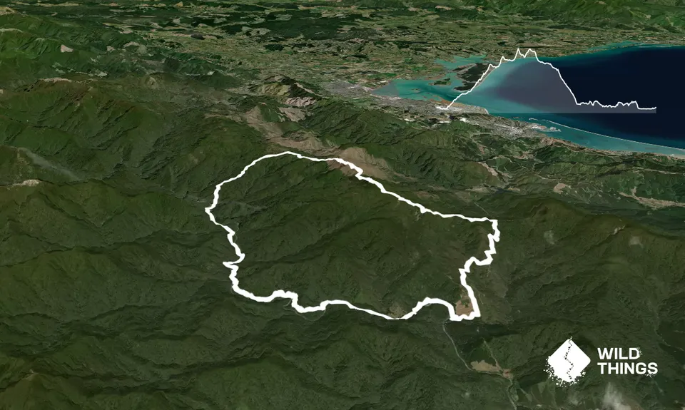 Pelorus Loop Track , Marlborough