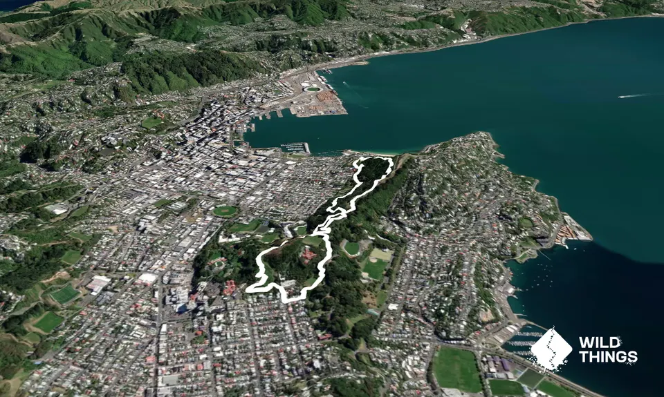 Matairangi Loop, Wellington