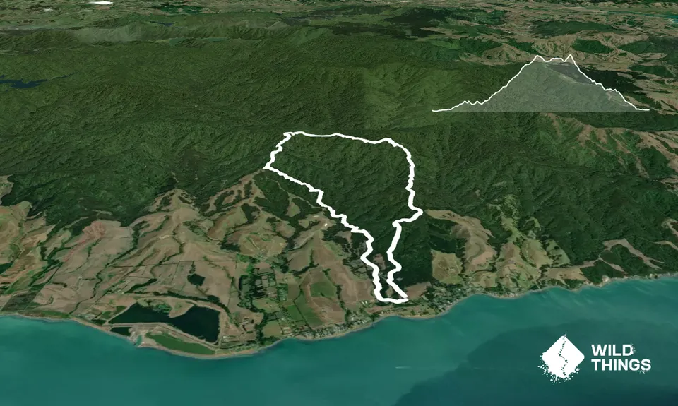 Waharau Ridge Gutbuster, Auckland