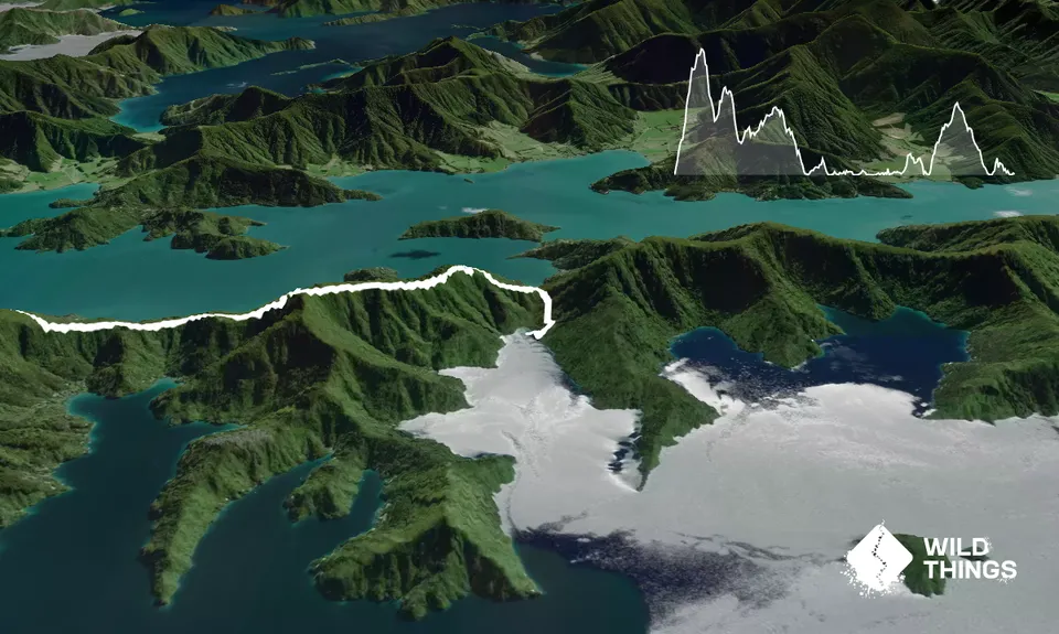 Torea Bay to Picton Loop, Marlborough