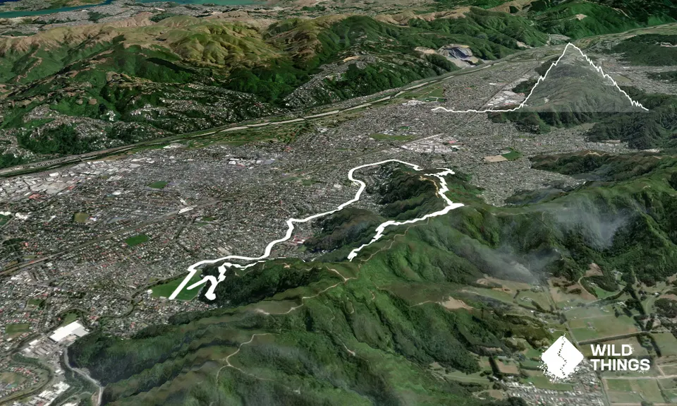 Waddington Loop of Wander, Wellington