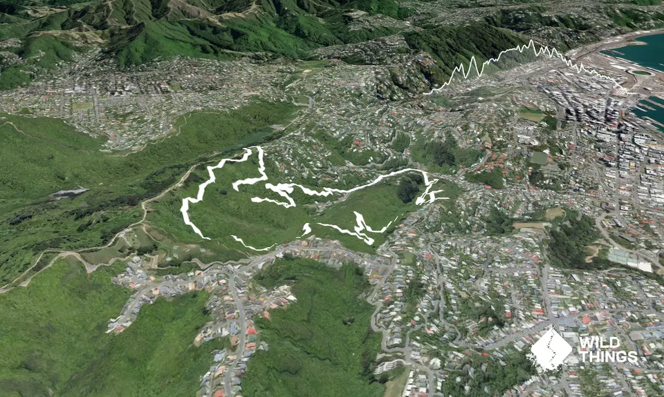 Waimapihi Treatie, Wellington