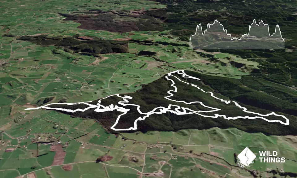 Tokavegas trails, Waikato