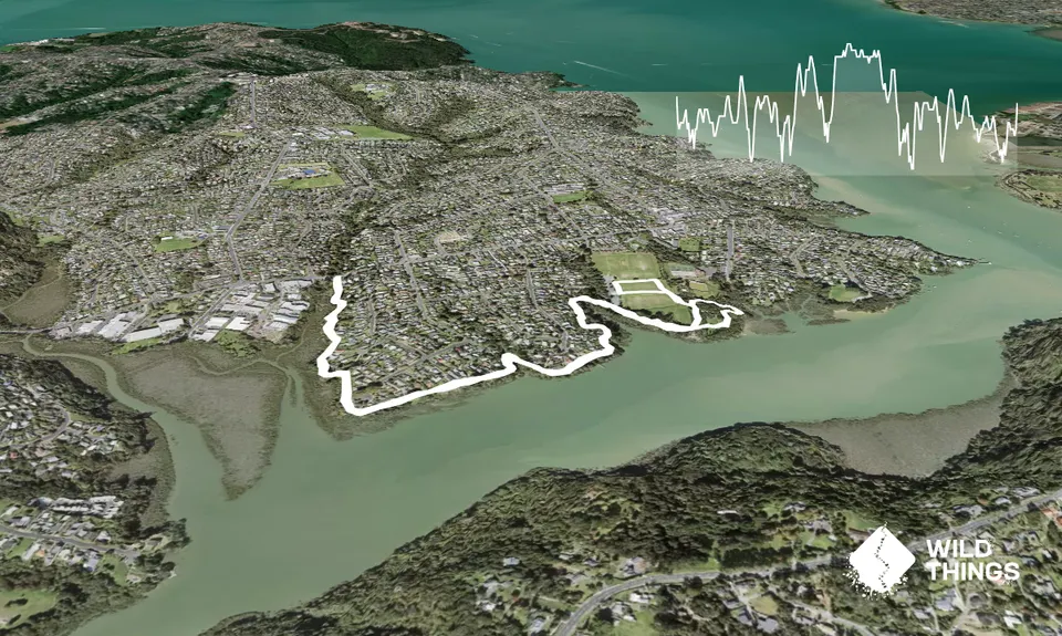 Beach Haven Bridges to Pitches, Auckland