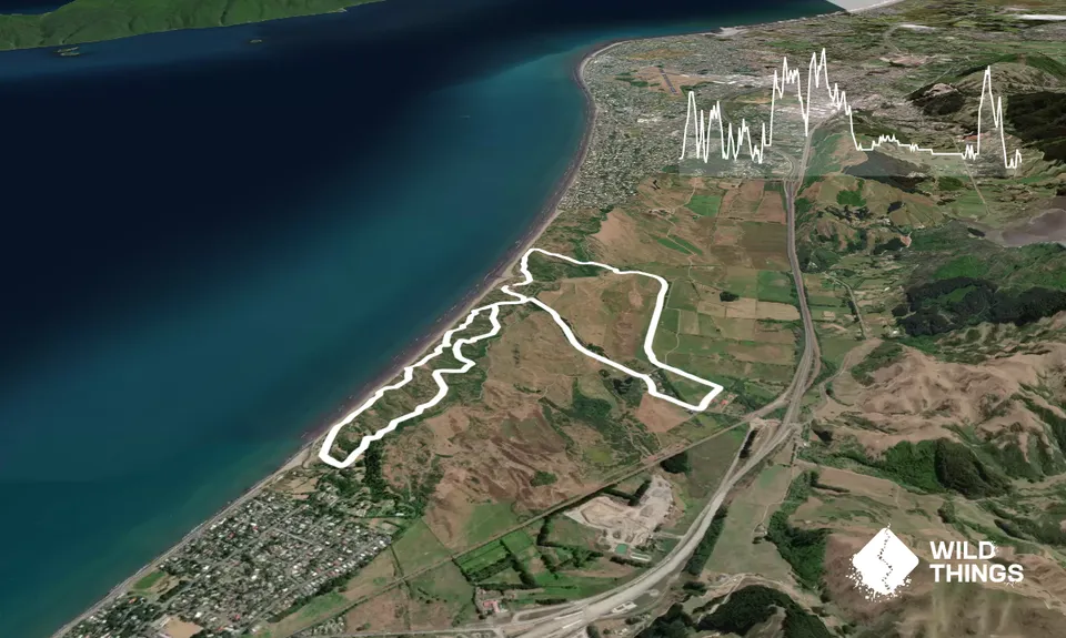 Lizzie's Loop, Wellington