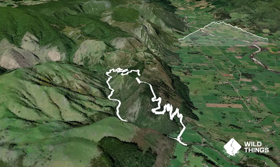 Low Hanging Fruit, Tasman