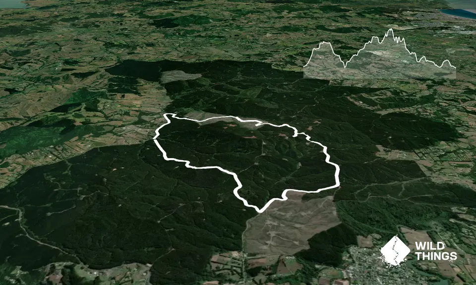 Strip Trig to Barlow, Auckland