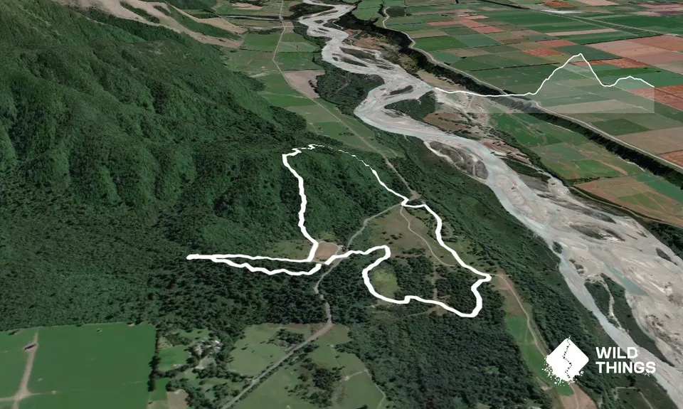 Peel Forest Rounds, Canterbury