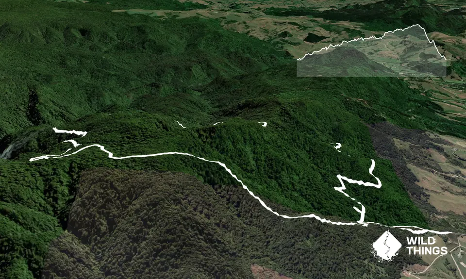 Lindemann's Loop, Bay of Plenty