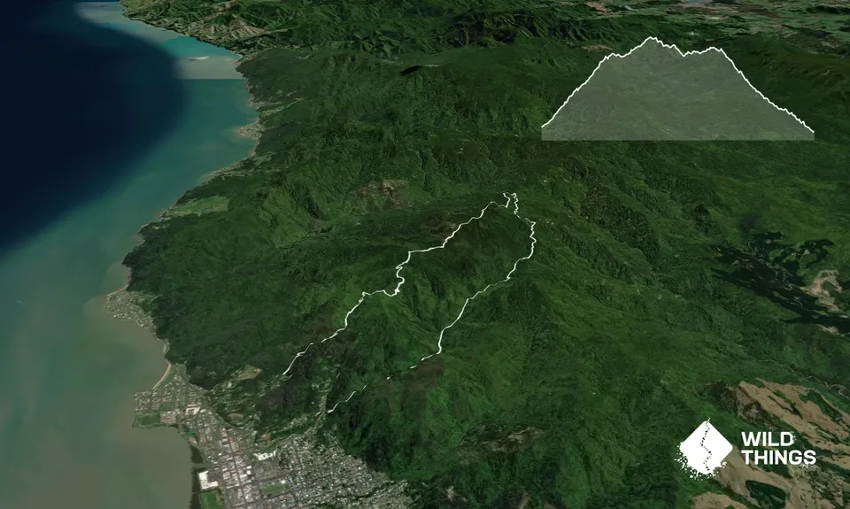 Waiotahi Karaka Trail, Waikato