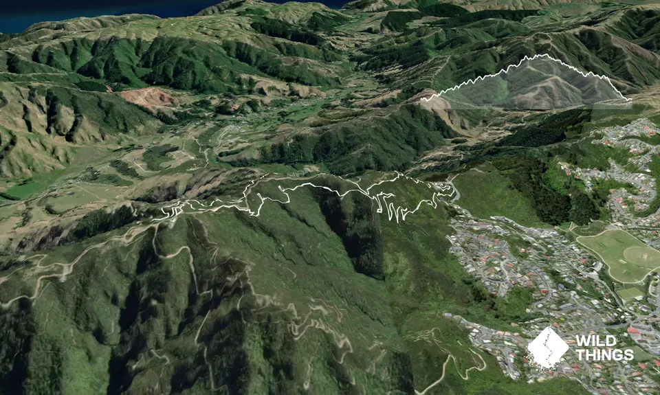 Mini Makara Mission, Wellington
