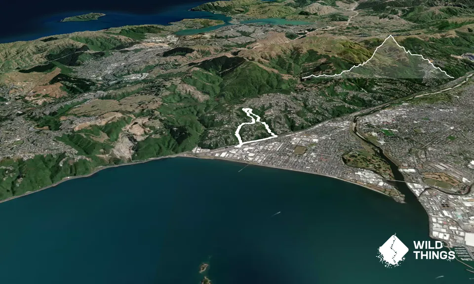 Sugarloaf and Waterfalls Loop, Wellington