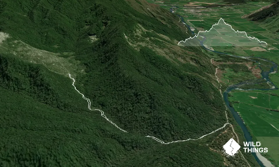 Johnson Creek Track, Tasman