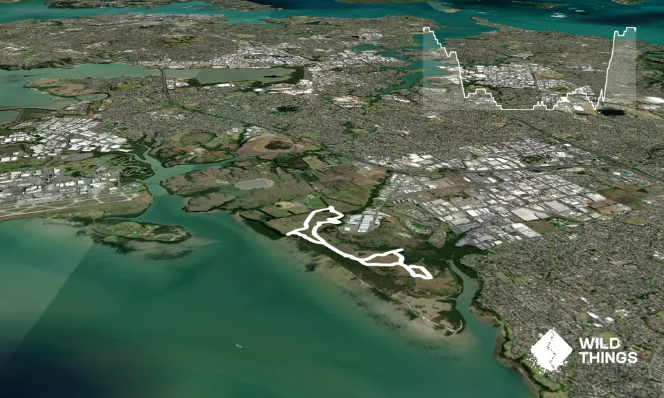 Puhinui - not just for Horses, Auckland