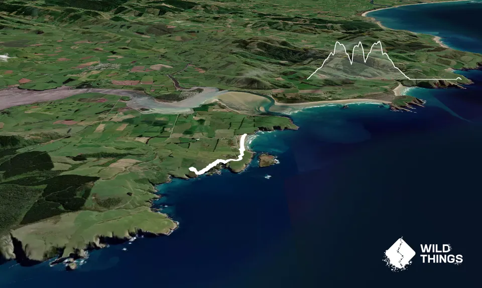 Jack's Bay Beach & Blowhole, Otago