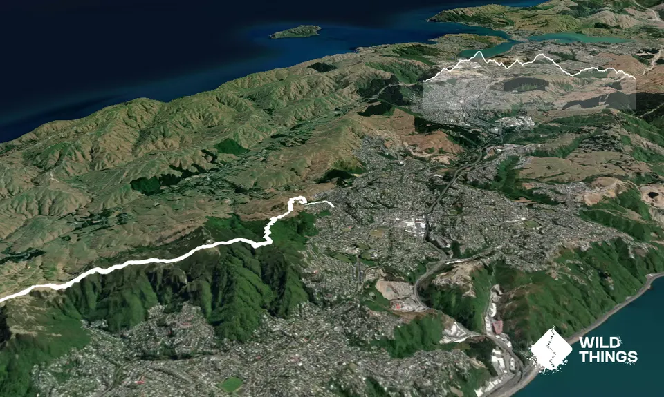 Full Wellington Skyline Trail , Wellington
