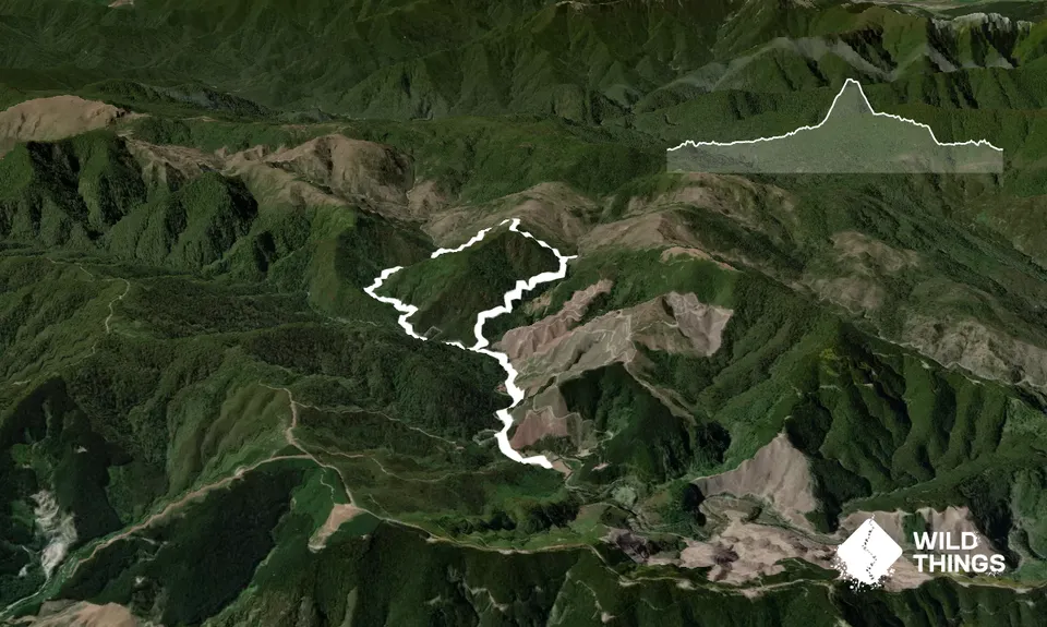 Champion Circuit, Nelson