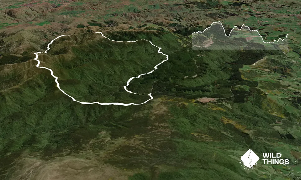 Silverpeaks Pure, Otago