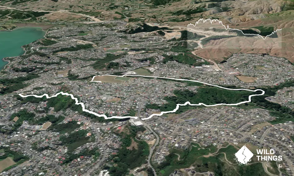 Don't rush to a Conclusion, Wellington