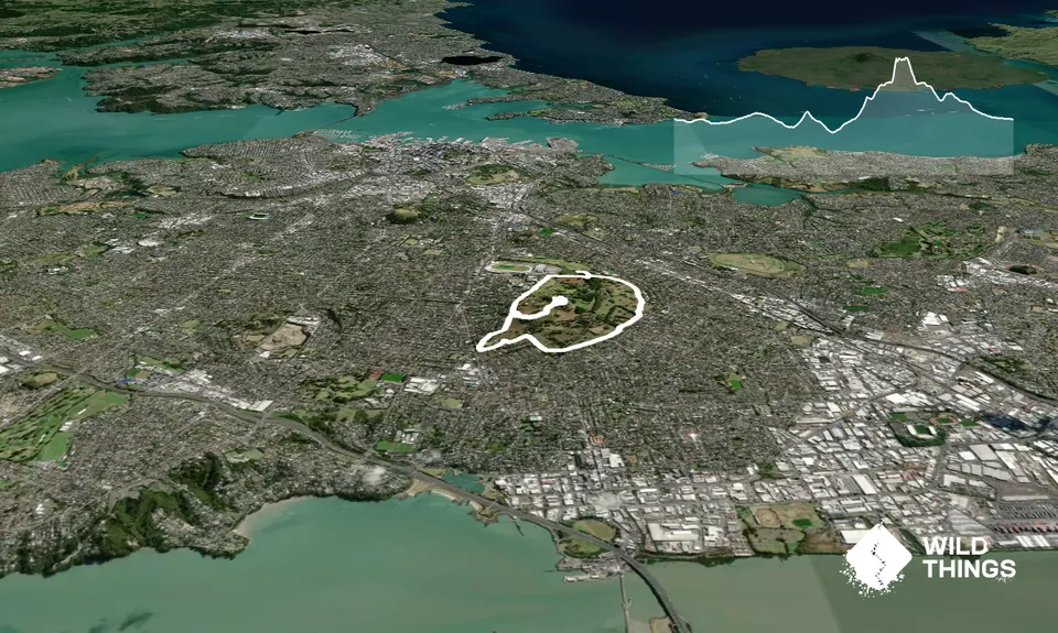 Maungakiekie Loop with a Cherry on Top, Auckland