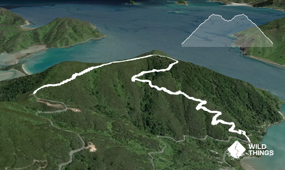 Goat Hill Track, Marlborough