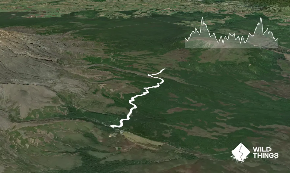 Hauhangatahi Wilderness, Manawatu - Wanganui