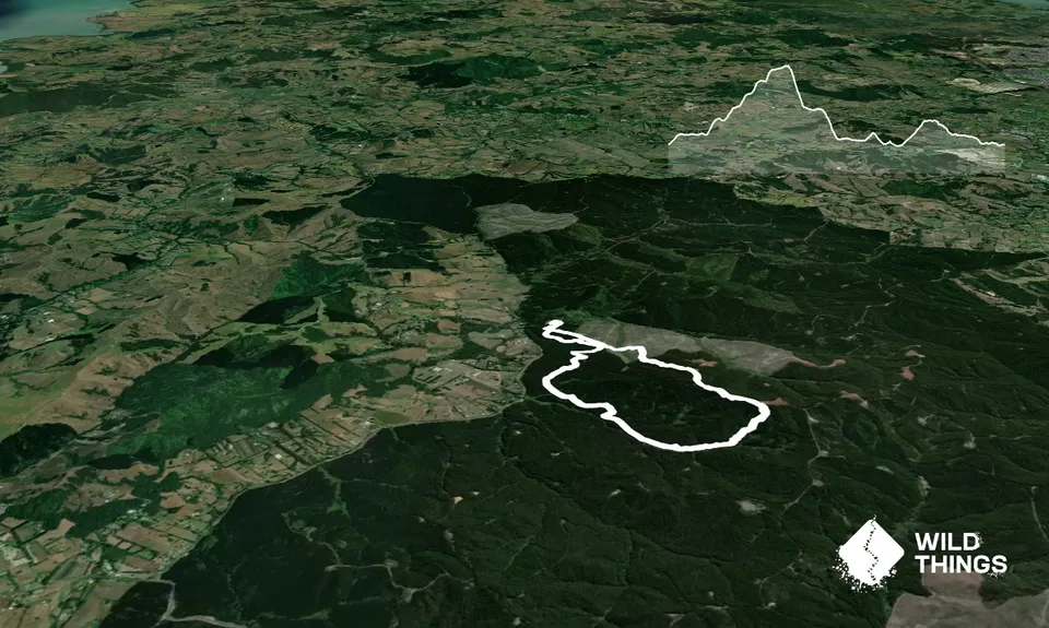 Riverhead Rambling, Auckland