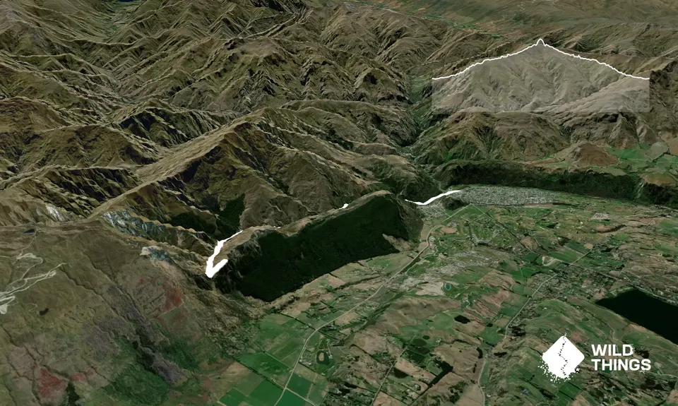 Bush Creek Banger and The Steiger!, Otago