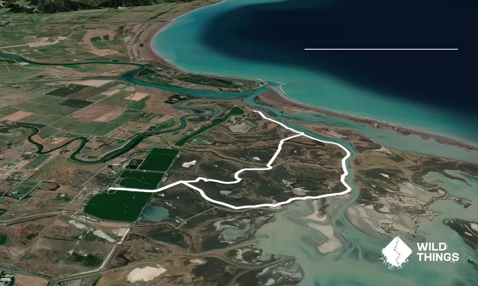 Wairau Lagoons Loop, Marlborough