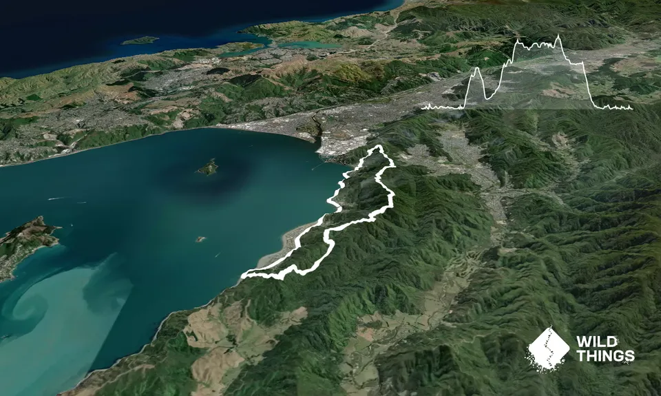 Eastbourne Ridge Loop, Wellington