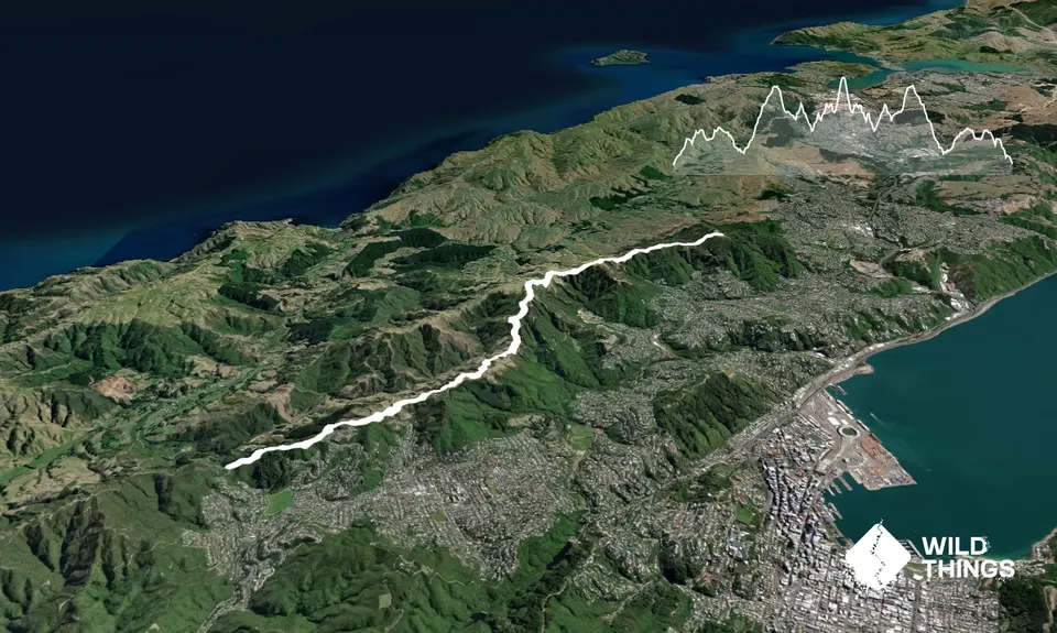 Skyline - Mt Kaukau, Wellington
