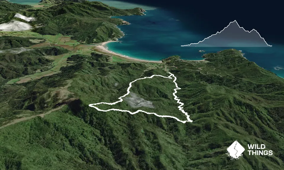 Matamataharakeke, Waikawau Bay, Waikato