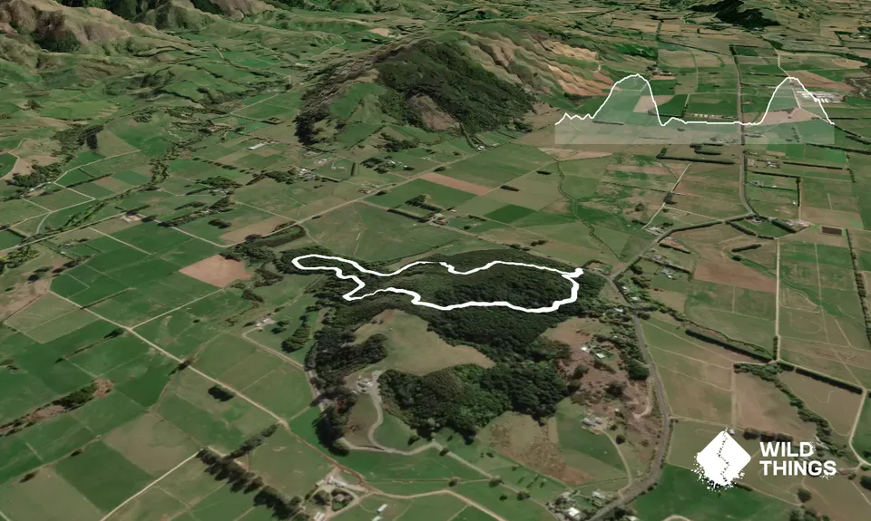 Fensham Reserve Loop, Wellington